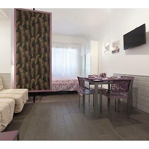 My Purple Apartment In The Center Of Rome